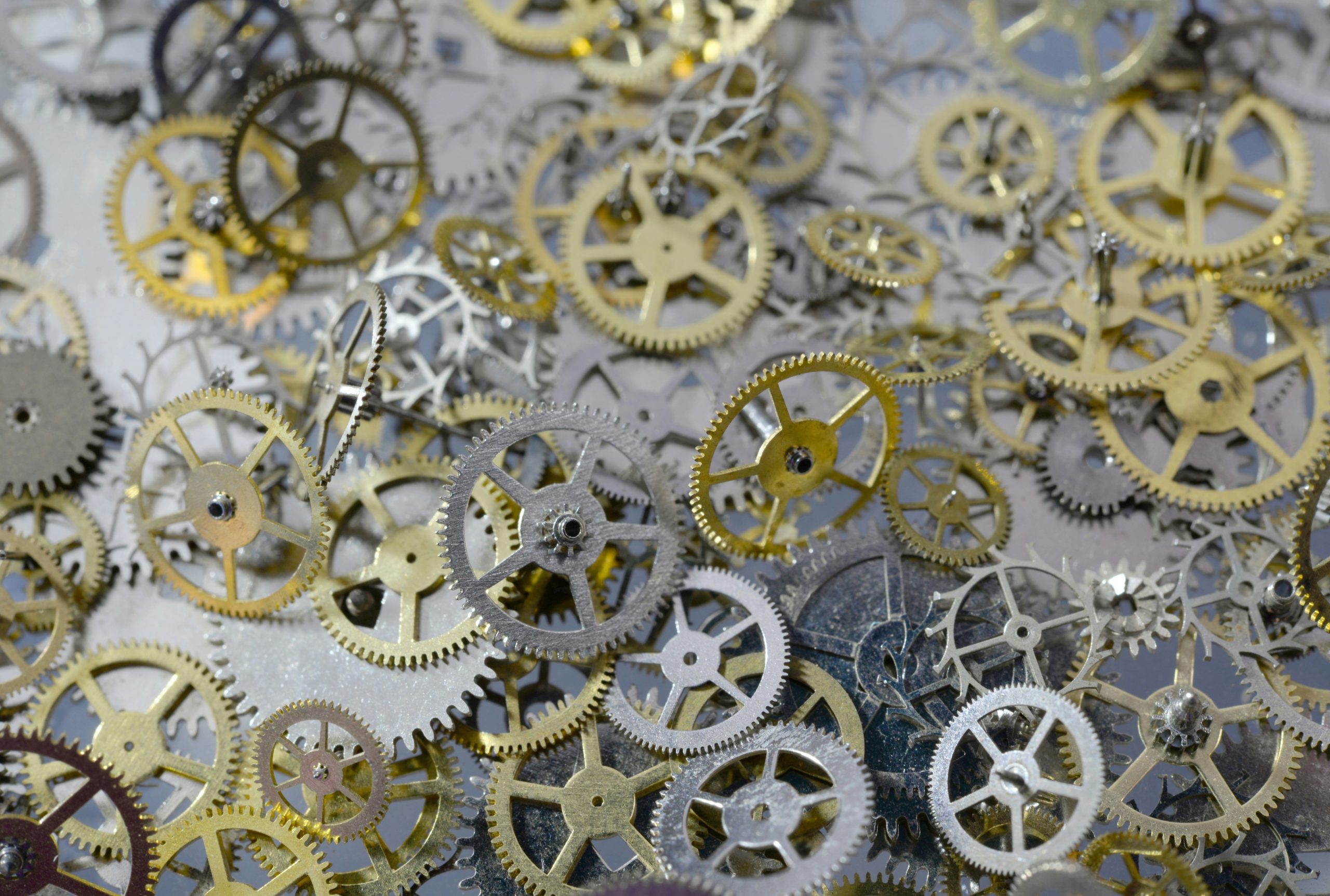 Putting the “Cog” in “Cognition